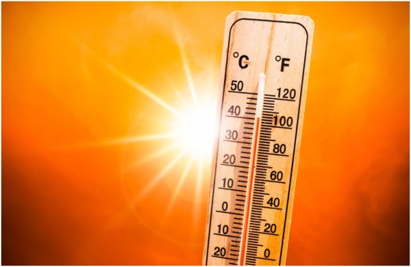 Canicule à Bordeaux : la mairie veille sur les personnes âgées isolées