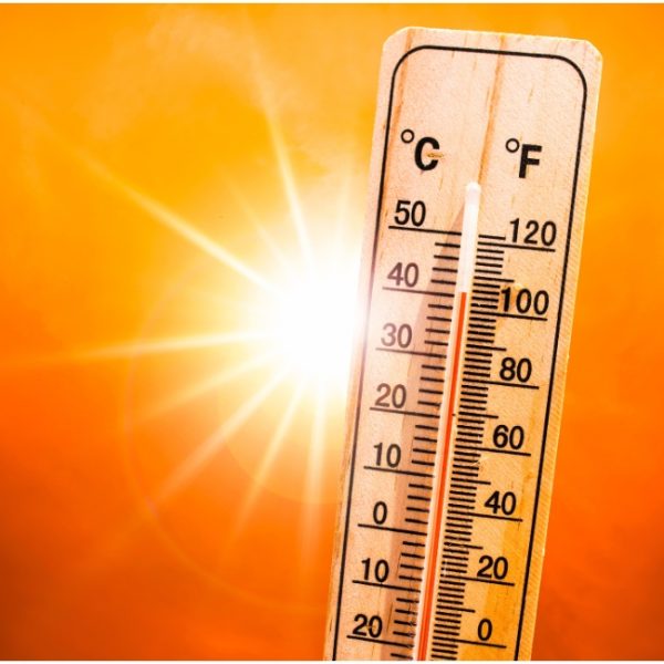 Canicule à Bordeaux : la mairie veille sur les personnes âgées isolées