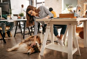 Les chiens au bureau : une tendance en hausse pour réduire le stress et favoriser le retour au travail