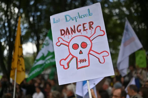 Victoire pour l’environnement : le conseil constitutionnel censure la réintroduction d’un néonicotinoïde